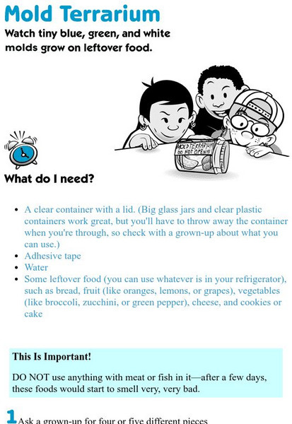 Exploratorium: Mold Terrarium Activity Exploratorium: Mold Terrarium Activity