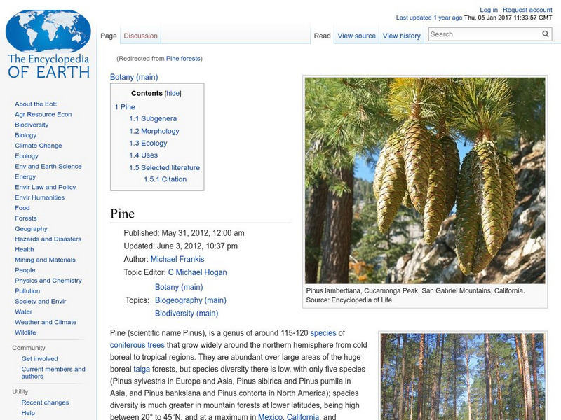 Encyclopedia of Earth: Botany: Pine Handout Encyclopedia of Earth: Botany: Pine Handout