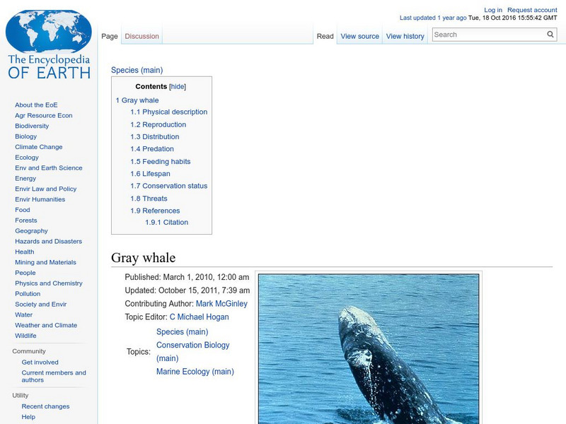 Encyclopedia of Earth: Zoology: Gray Whale Handout Encyclopedia of Earth: Zoology: Gray Whale Handout