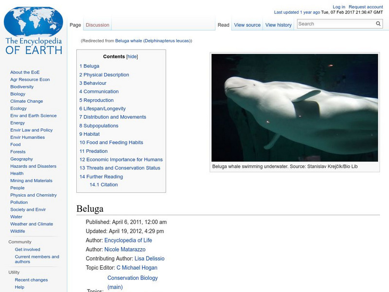 Encyclopedia of Earth: Animal Behavior: Beluga Handout Encyclopedia of Earth: Animal Behavior: Beluga Handout