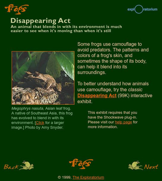 Exploratorium: Frogs, a Disappearing Act Interactive Exploratorium: Frogs, a Disappearing Act Interactive