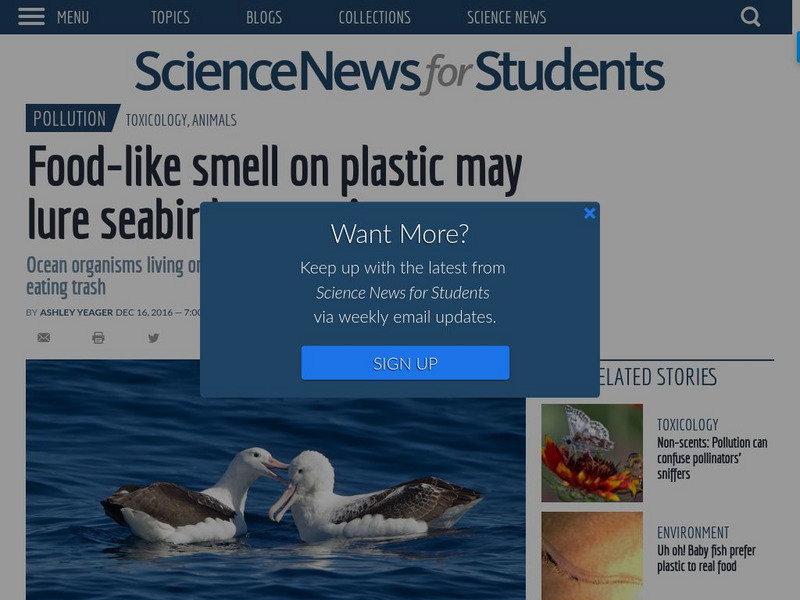 Science News for Students: Food Like Smell on Plastic May Lure Seabirds to Eat Article Science News for Students: Food Like Smell on Plastic May Lure Seabirds to Eat Article