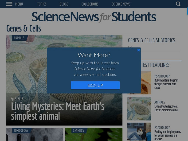 Science News for Students: World's Tallest Corn Towers Nearly 14 Meters Article