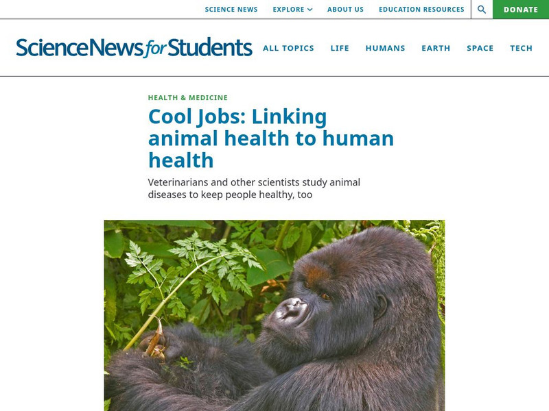 Science News for Students: Cool Jobs: Linking Animal Health to Human Health Article Science News for Students: Cool Jobs: Linking Animal Health to Human Health Article