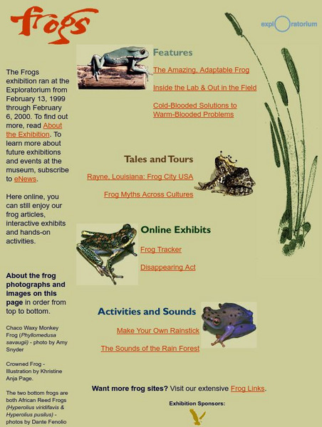 Exploratorium: Frogs Activity Exploratorium: Frogs Activity