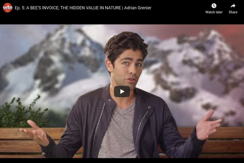 We the Economy: A Bee's Invoice: The Hidden Value in Nature Instructional Video