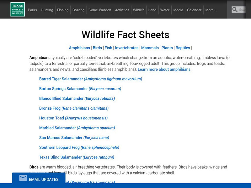 Texas Parks & Wildlife Department: Wildlife Website Texas Parks & Wildlife Department: Wildlife Website