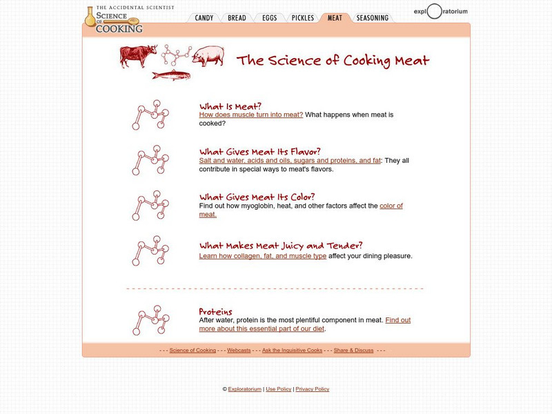 Exploratorium: The Science of Cooking Meat Website Exploratorium: The Science of Cooking Meat Website