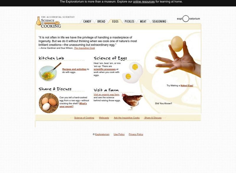 Exploratorium: The Science of Eggs Website Exploratorium: The Science of Eggs Website