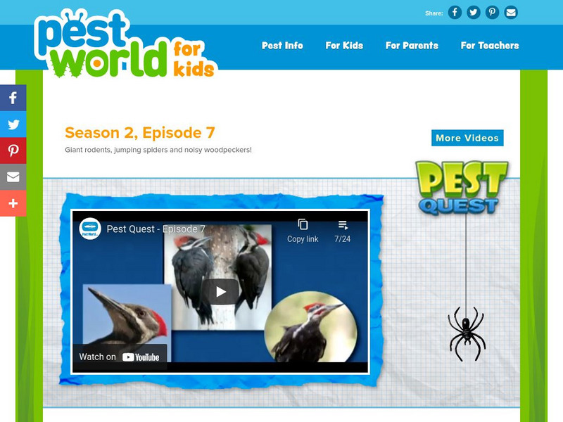 Pest World for Kids: Season 2: Episode 7 Instructional Video