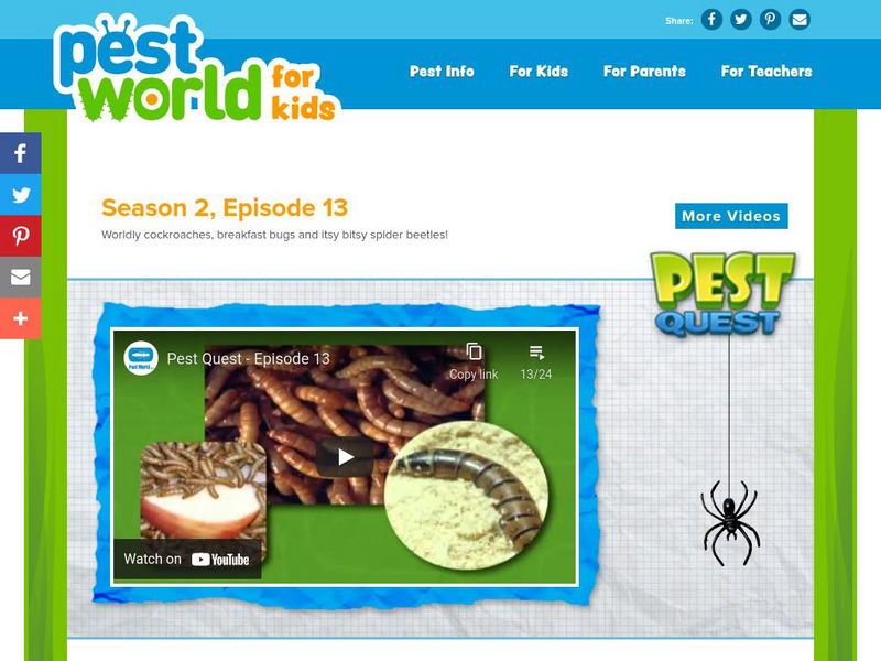 Pest World for Kids: Season 2: Episode 13 Instructional Video Pest World for Kids: Season 2: Episode 13 Instructional Video