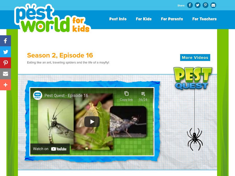 Pest World for Kids: Season 2: Episode 16 Instructional Video Pest World for Kids: Season 2: Episode 16 Instructional Video
