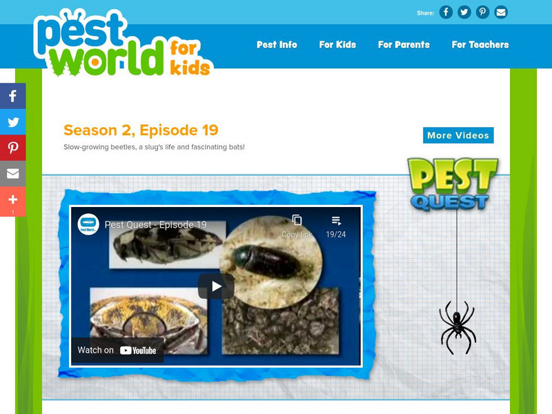 Pest World for Kids: Season 2: Episode 19 Instructional Video