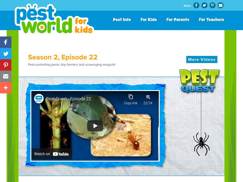 Pest World for Kids: Season 2: Episode 22 Instructional Video