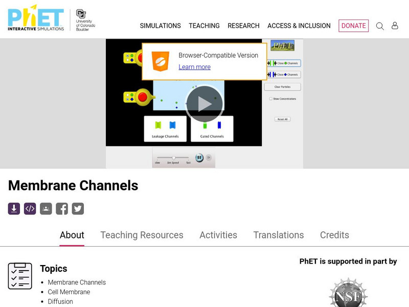 University of Colorado: Ph Et Interactive Simulations: University of Colorado: Membrane Channels Interactive