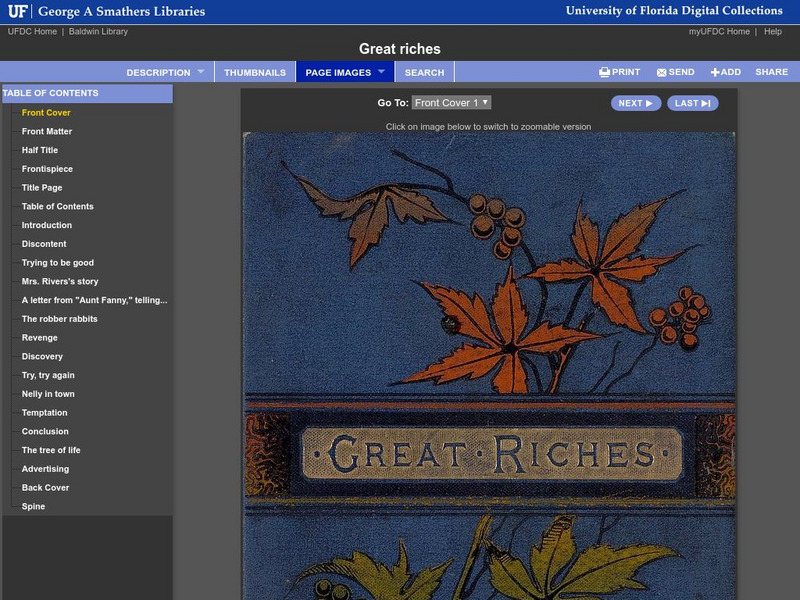 Baldwin Library: Great Riches: Nelly Rivers' Story by Aunt Fanny Primary