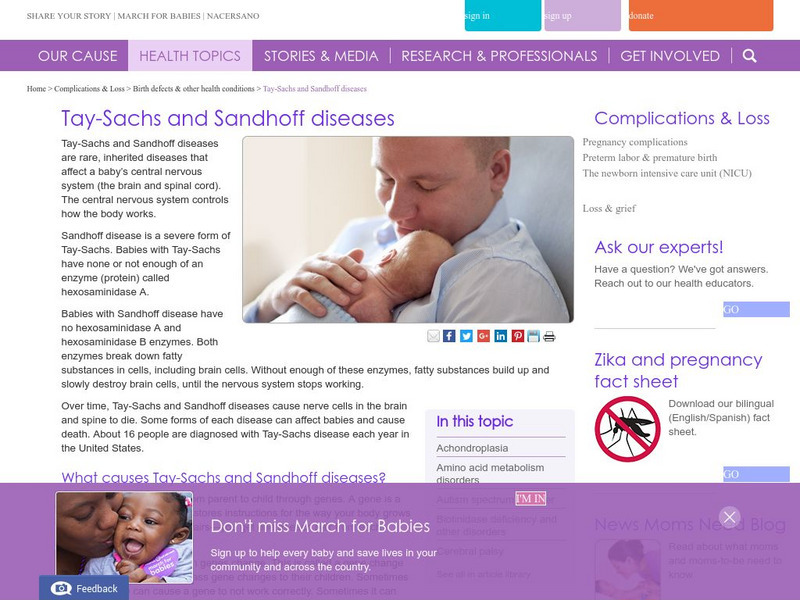 March of Dimes Medical Reference: Tay Sachs Disease Website March of Dimes Medical Reference: Tay Sachs Disease Website