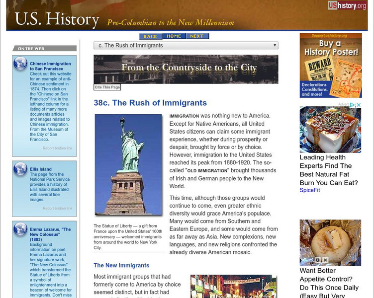 U.s. History: The Rush of Immigrants Website U.s. History: The Rush of Immigrants Website