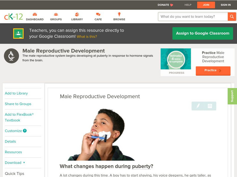Ck 12: Biology: Male Reproductive Development Unit Plan Ck 12: Biology: Male Reproductive Development Unit Plan