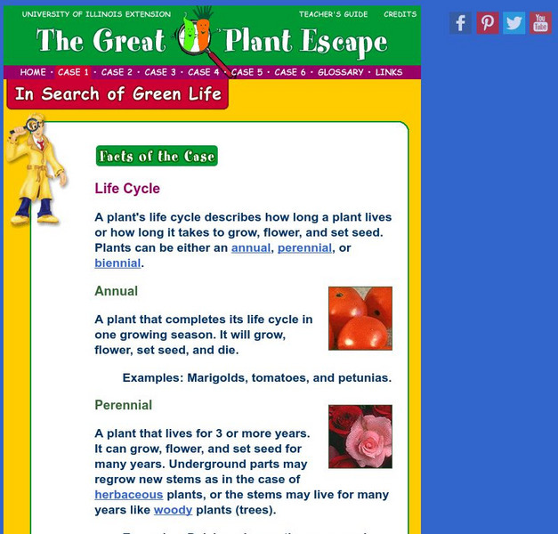 University of Illinois Extension: In Search of Green Life Website University of Illinois Extension: In Search of Green Life Website