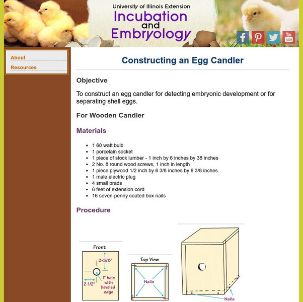 University of Illinois Extension: Constructing an Egg Candler Activity ...