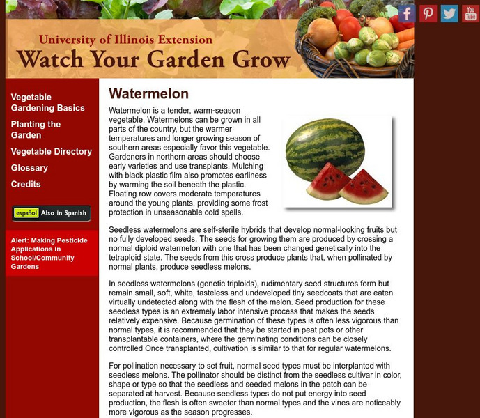 University of Illinois Extension: Watermelon Watch Your Garden Grow Handout University of Illinois Extension: Watermelon Watch Your Garden Grow Handout