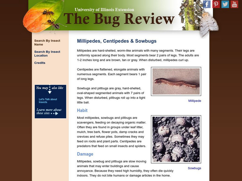University of Illinois Extension: Millipedes, Centipedes and Sowbugs Handout University of Illinois Extension: Millipedes, Centipedes and Sowbugs Handout
