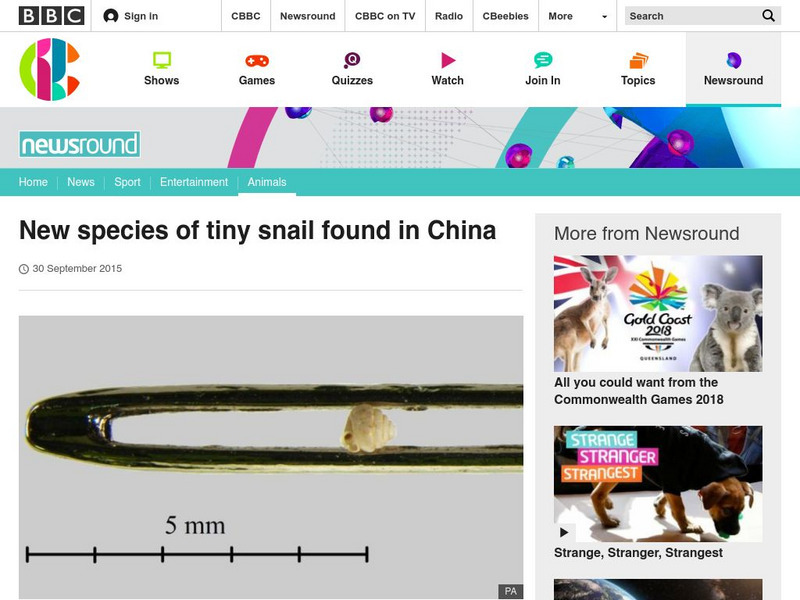Bbc Newsround: New Species of Tiny Snail Found in China Article