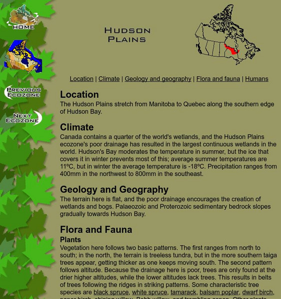Mc Gill University: Canadian Biodiversity: Ecozones: Hudson Plains Handout Mc Gill University: Canadian Biodiversity: Ecozones: Hudson Plains Handout