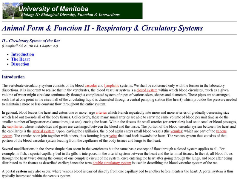 University of Manitoba: Respiratory System Handout