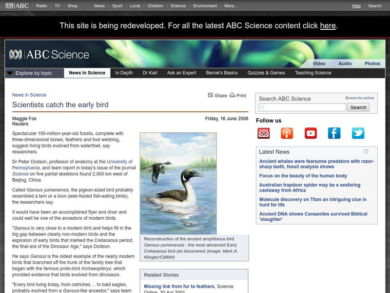 Australian Broadcasting Corporation: News in Science: Scientists Catch the Early Bird Handout