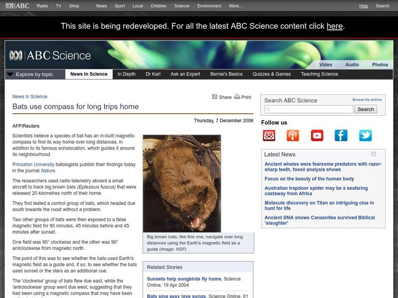 Australian Broadcasting Corporation: News in Science: Bats Use Compass for Long Trips Article Australian Broadcasting Corporation: News in Science: Bats Use Compass for Long Trips Article