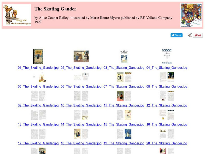 Children's Books Online: The Skating Gander eBook