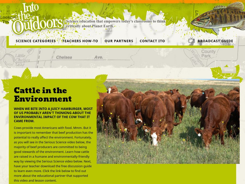 Into the Outdoors: Cattle in the Environment Instructional Video Into the Outdoors: Cattle in the Environment Instructional Video