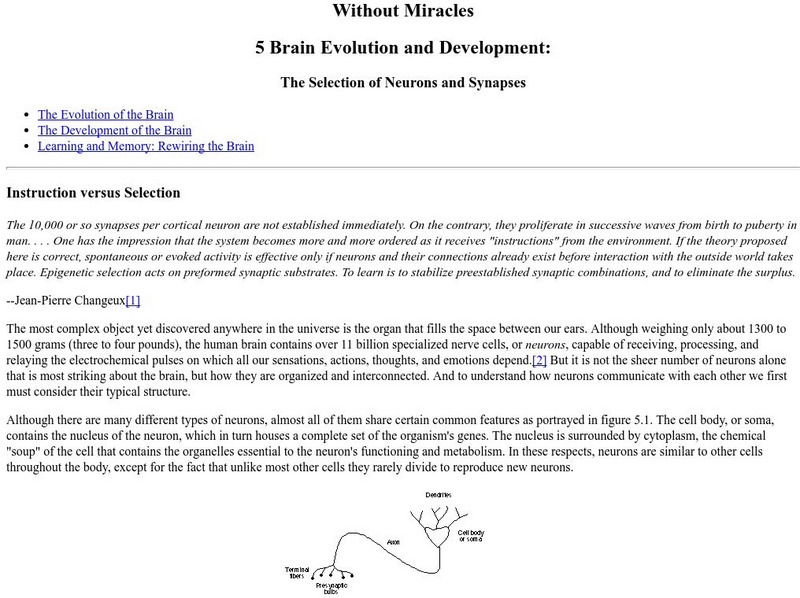 University of Illinois: Brain Evolution and Development Website University of Illinois: Brain Evolution and Development Website