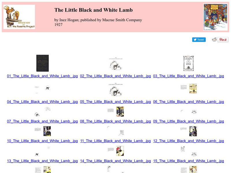 Children's Books Online: The Little Black and White Lamb eBook
