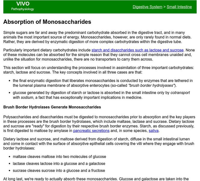 Colorado State University: Absorption of Monosaccharides Handout Colorado State University: Absorption of Monosaccharides Handout