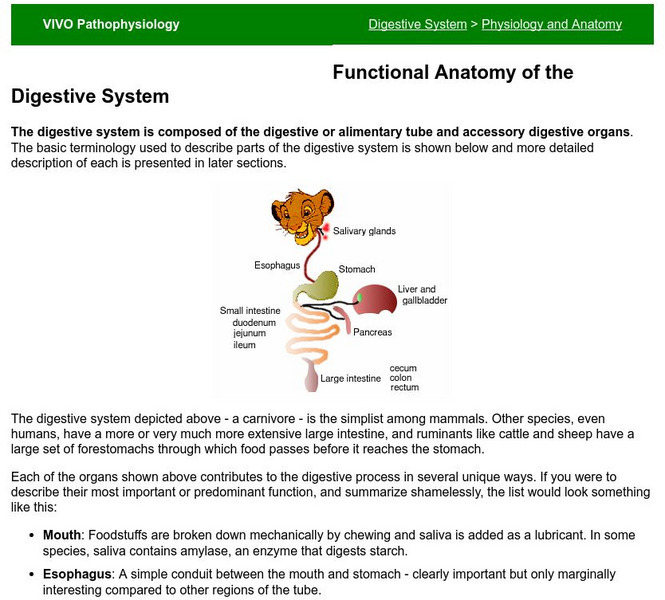 Colorado State University: Basic Functional Anatomy of the Digestive System eBook Colorado State University: Basic Functional Anatomy of the Digestive System eBook