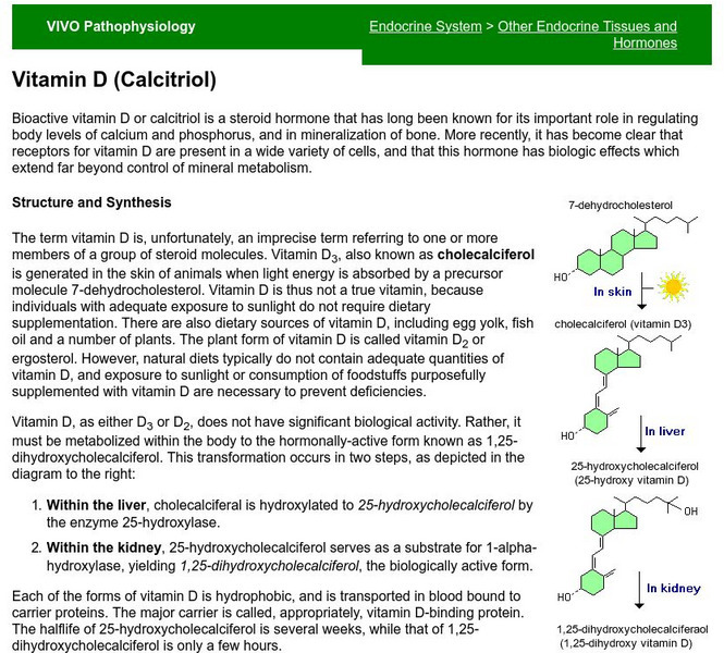 Colorado State University: Vitamin D (Cholecalciferol, Calcitriol) Handout Colorado State University: Vitamin D (Cholecalciferol, Calcitriol) Handout