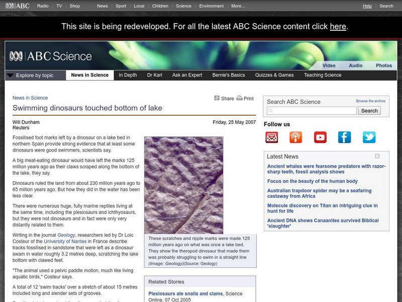Australian Broadcasting Corporation: News in Science: Swimming Dinosaurs Article Australian Broadcasting Corporation: News in Science: Swimming Dinosaurs Article