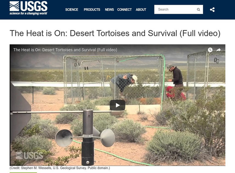 U.s. Geological Survey: Multimedia Gallery: Video: Desert Tortoises and Survival Instructional Video U.s. Geological Survey: Multimedia Gallery: Video: Desert Tortoises and Survival Instructional Video