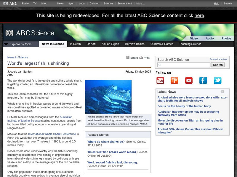 Australian Broadcasting Corporation: News in Science: World's Largest Fish Is Shrinking Handout