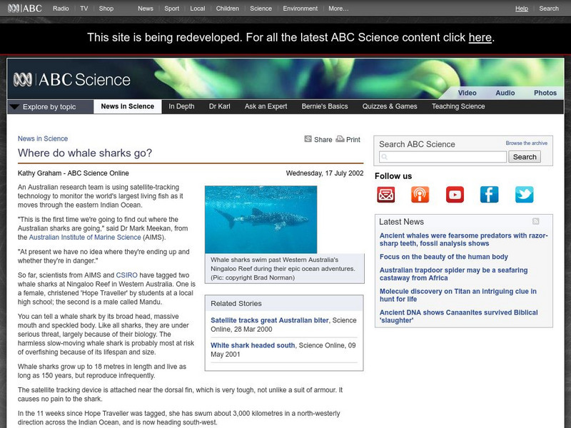 Australian Broadcasting Corporation: News in Science: Where Do Whale Sharks Go? Handout