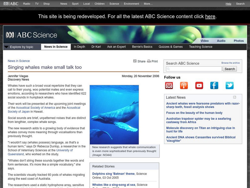 Australian Broadcasting Corporation: News in Science: Singing Whales Make Small Talk Too Article Australian Broadcasting Corporation: News in Science: Singing Whales Make Small Talk Too Article
