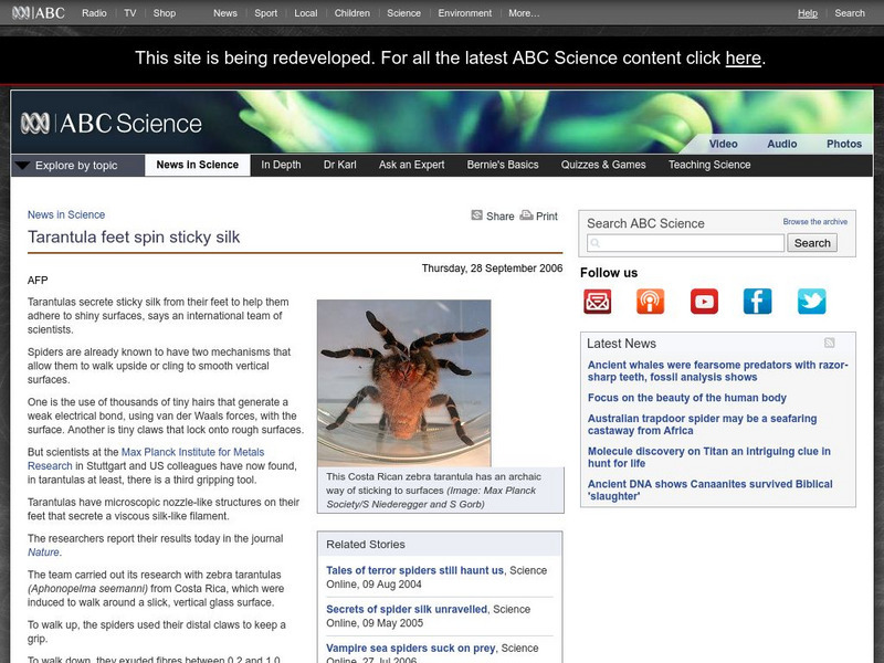Australian Broadcasting Corporation: News in Science: Tarantula Feet Spin Sticky Silk Handout Australian Broadcasting Corporation: News in Science: Tarantula Feet Spin Sticky Silk Handout