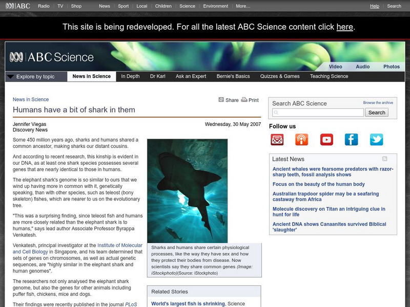 Australian Broadcasting Corporation: News in Science: Humans Have a Bit of Shark in Them Handout Australian Broadcasting Corporation: News in Science: Humans Have a Bit of Shark in Them Handout