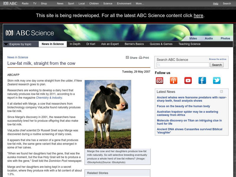 Australian Broadcasting Corporation: News in Science: Low Fat Milk, Straight From the Cow Article