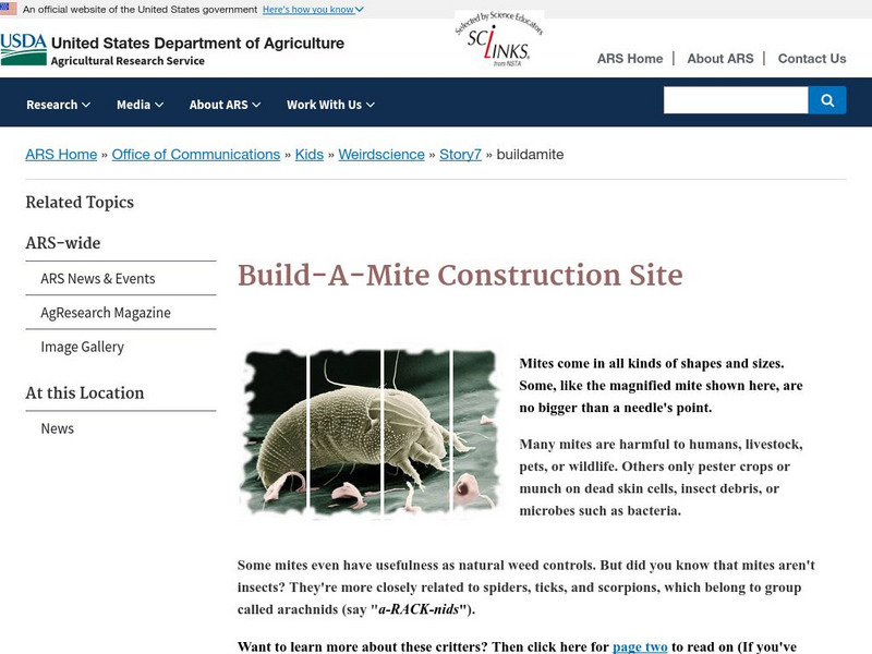 Us Department of Agriculture: Sci4 Kids: Build a Mite Construction Site Activity