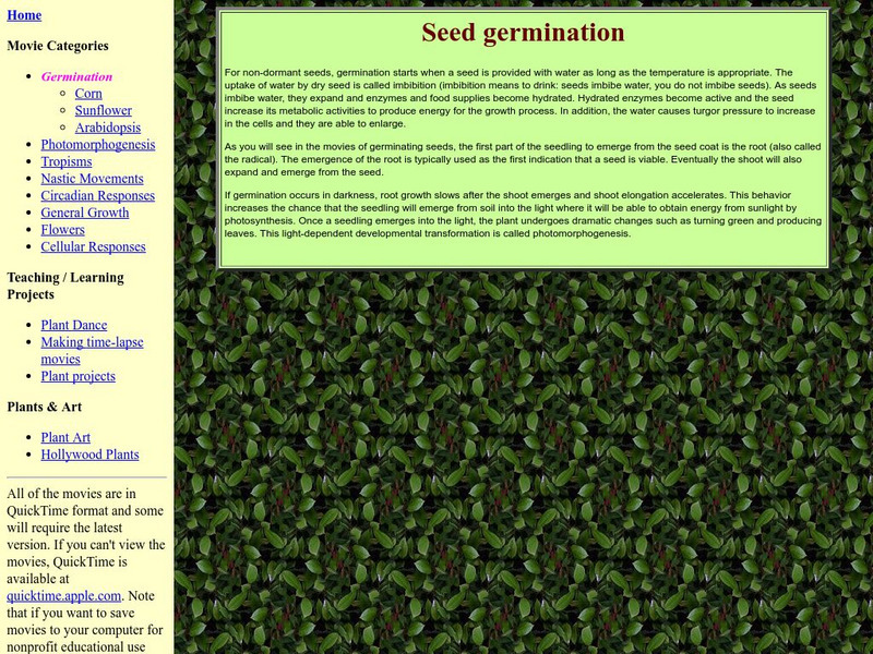 Indiana University: Plants in Motion: Seed Germination Instructional Video Indiana University: Plants in Motion: Seed Germination Instructional Video