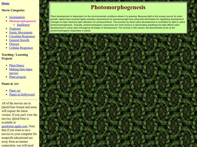 Indiana University: Plants in Motion: Photomorphogenesis Instructional Video Indiana University: Plants in Motion: Photomorphogenesis Instructional Video